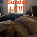 snapchatroian-0392.jpg
