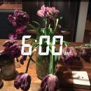 snapchatroian-0439.jpg