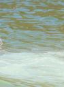 Filename=troianrio140217-018.jpg
Filesize=262KiB
Dimensions=2048x1365
Date added=Feb 15, 2017 troianrio140217-018.jpg