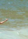 Filename=troianrio140217-019.jpg
Filesize=269KiB
Dimensions=2048x1361
Date added=Feb 15, 2017 troianrio140217-019.jpg