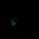 vlcsnap-2017-05-29-09h08m37s628.png