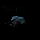 vlcsnap-2017-05-29-09h08m39s519.png