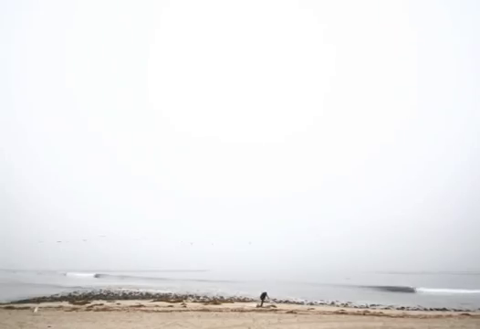 IMG_00302~0.png