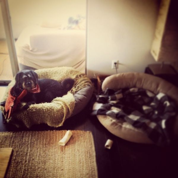 InstagramTroian-001108.jpg
