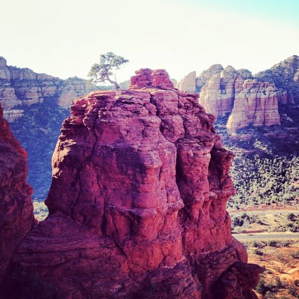 InstagramTroian-001130.jpg