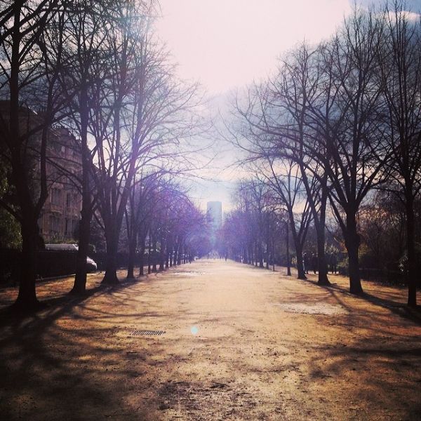 InstagramTroian-001321.jpg