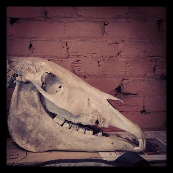 InstagramTroian-00153.jpg