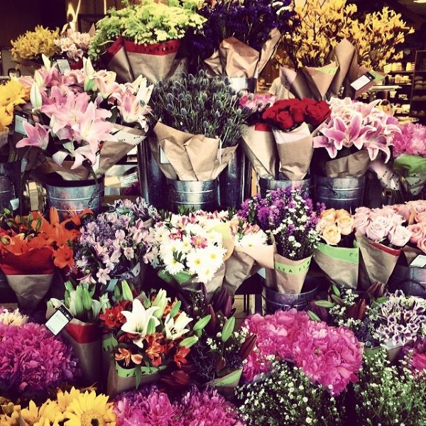 InstagramTroian-001538.jpg