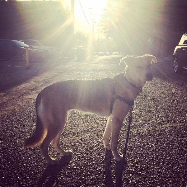 InstagramTroian-002141.jpg
