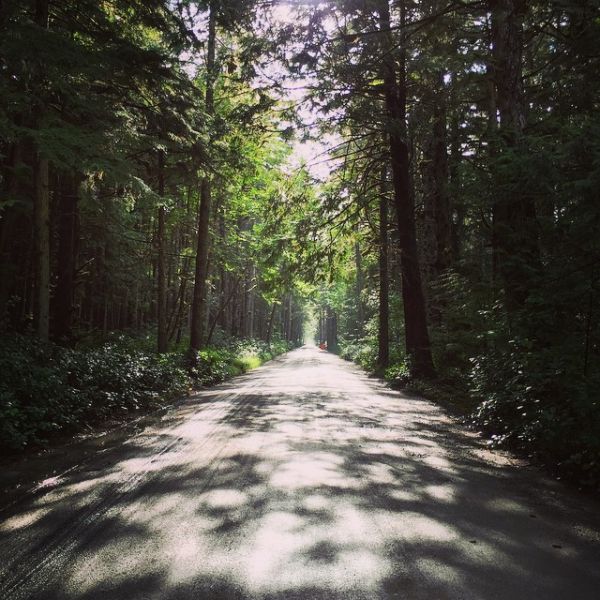 InstagramTroian-002375.jpg