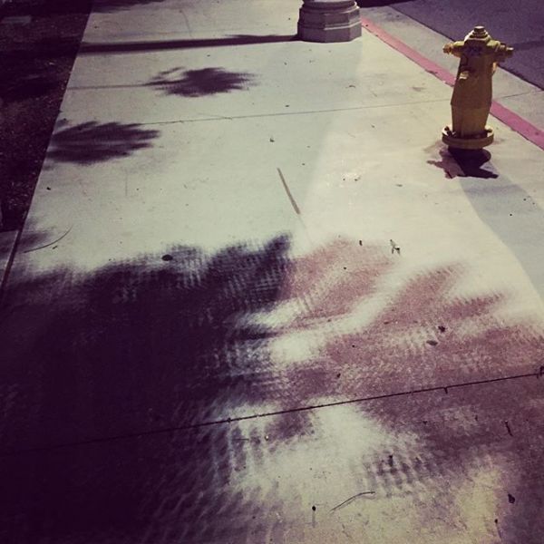 InstagramTroian-002426.jpg