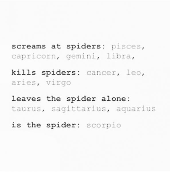 InstagramTroian-002569.jpg