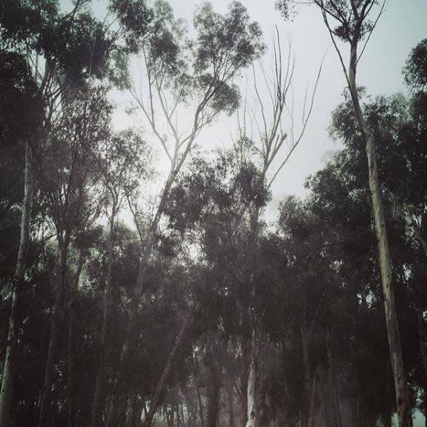 InstagramTroian-002701.jpg