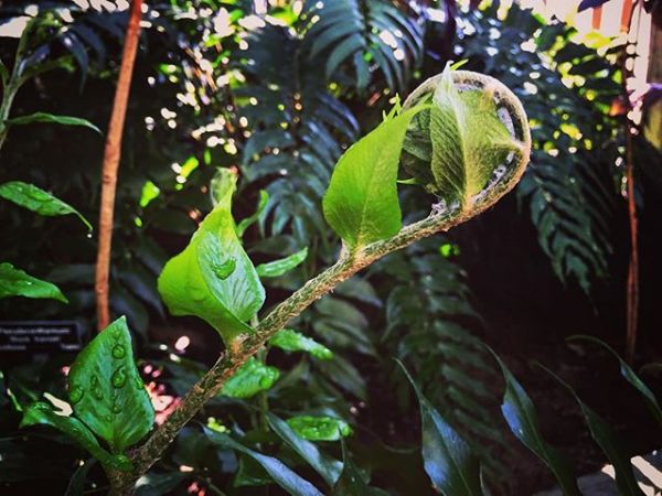 InstagramTroian-002742.jpg