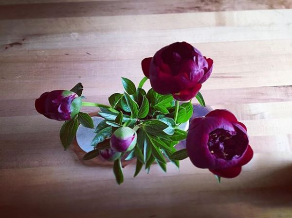 InstagramTroian-002879.jpg