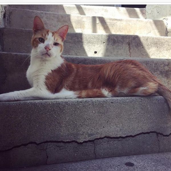 InstagramTroian-003151.jpg