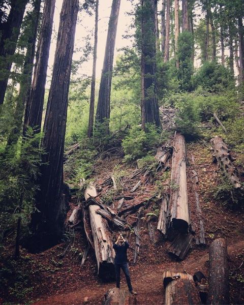 InstagramTroian-003265.jpg