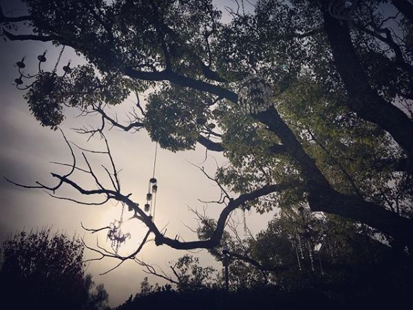 InstagramTroian-003284.jpg