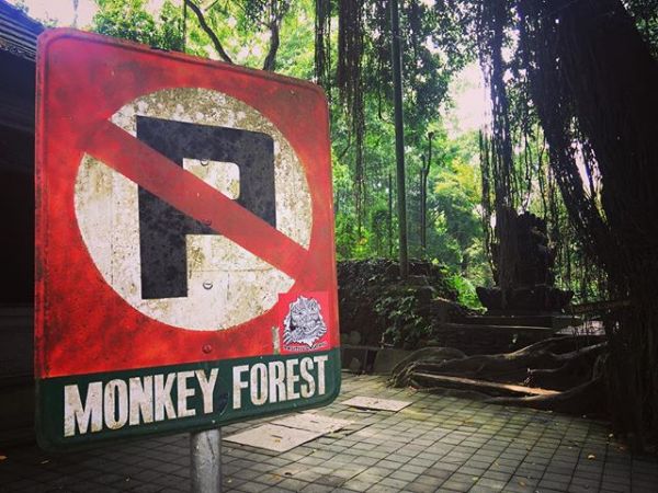 InstagramTroian-003308.jpg