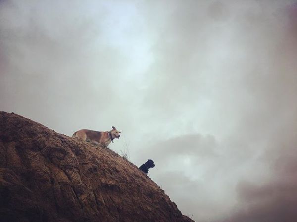InstagramTroian-003338.jpg