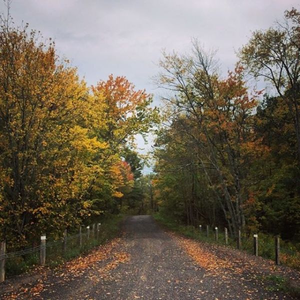InstagramTroian-003590.jpg