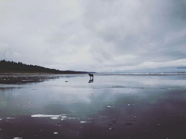 InstagramTroian-003606.jpg