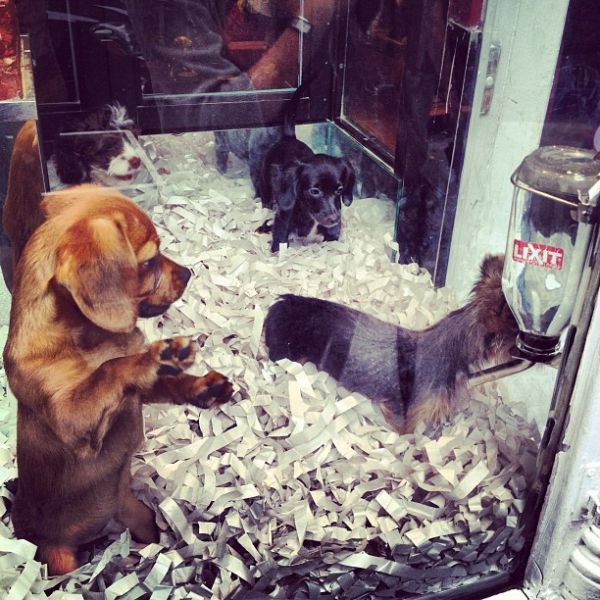InstagramTroian-00373.jpg
