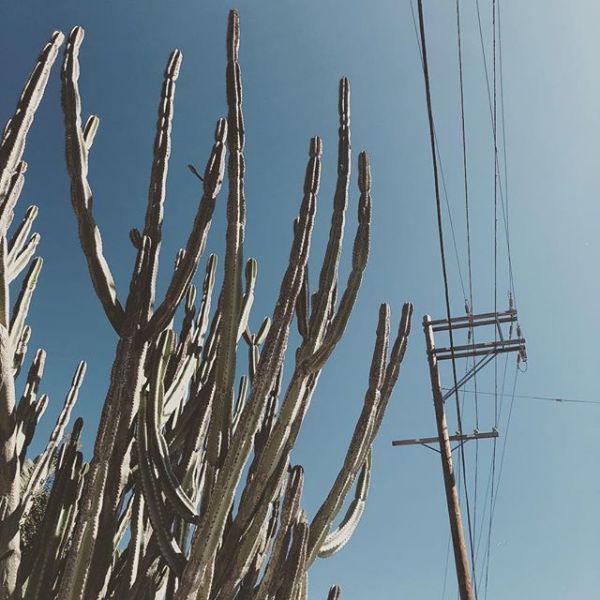 InstagramTroian-003737.jpg