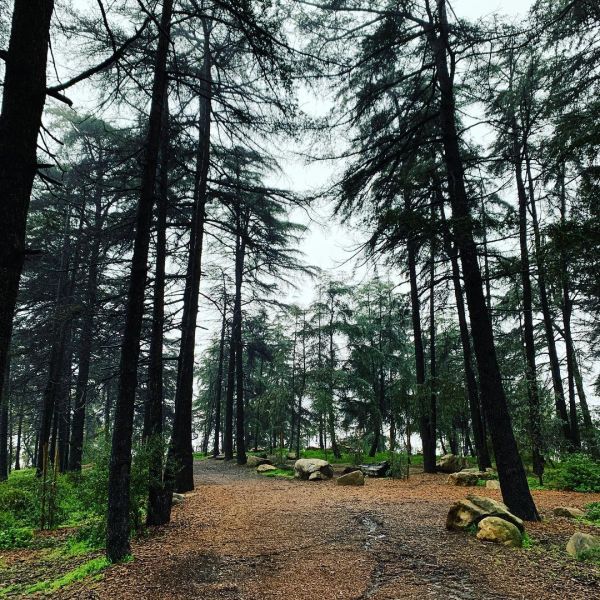InstagramTroian-003977.jpg