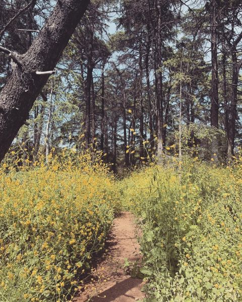 InstagramTroian-004010.jpg