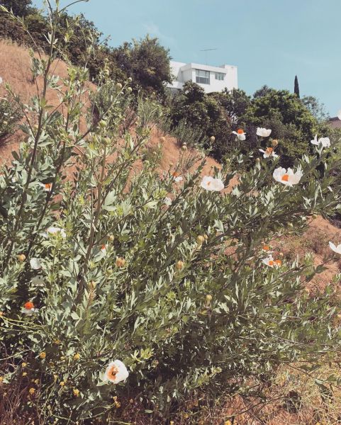 InstagramTroian-004011.jpg