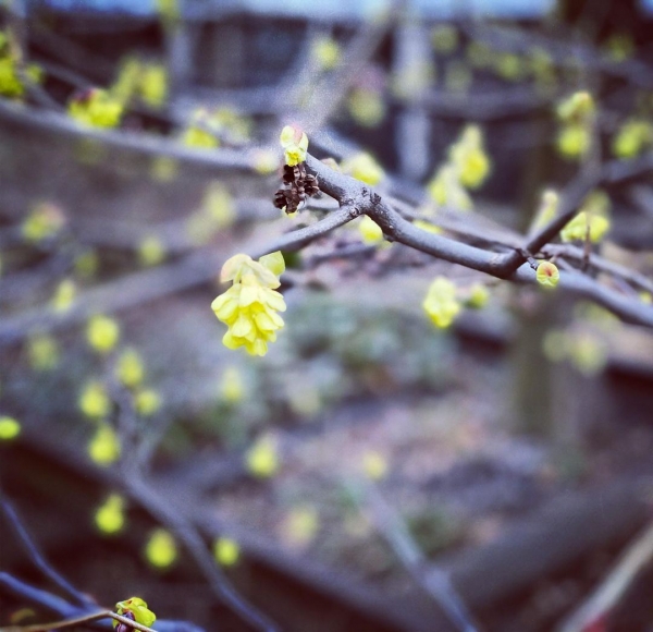InstagramTroian-004107.jpg