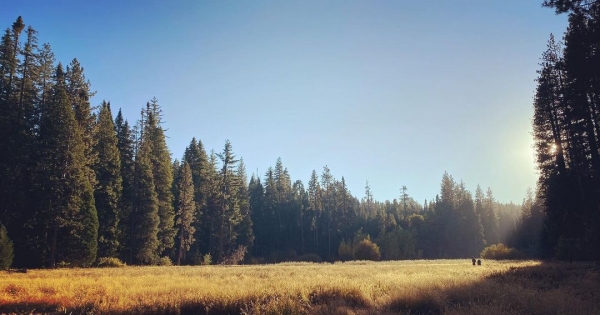 InstagramTroian-004191.jpg