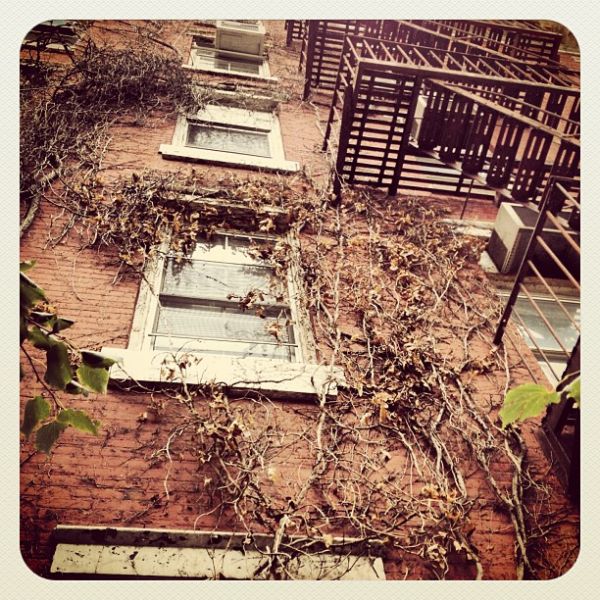 InstagramTroian-00421.jpg