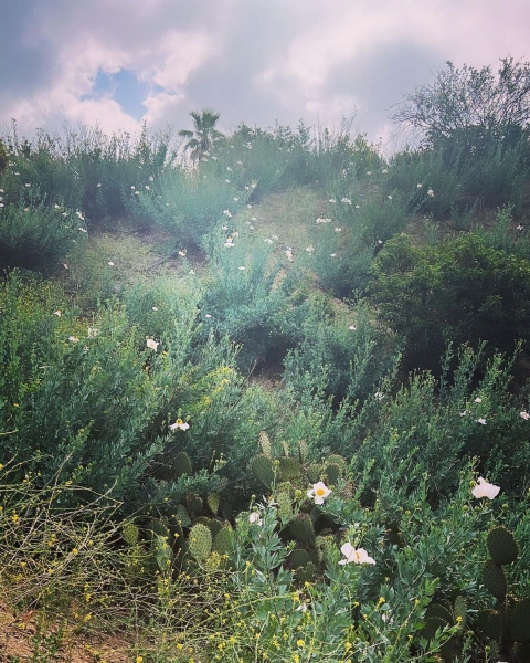 InstagramTroian-004319.jpg
