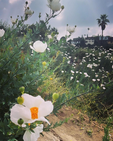 InstagramTroian-004320.jpg