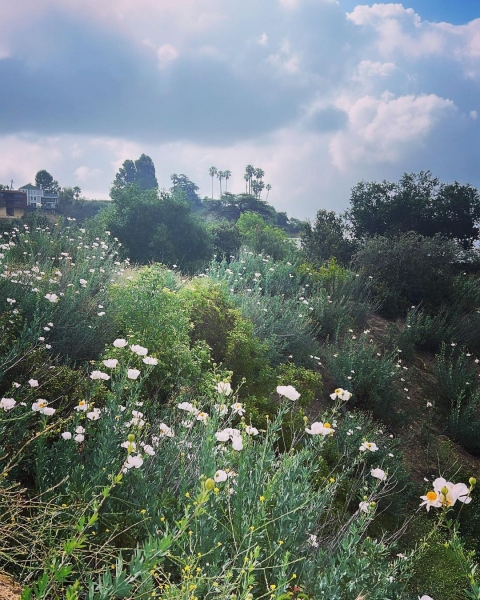 InstagramTroian-004321.jpg