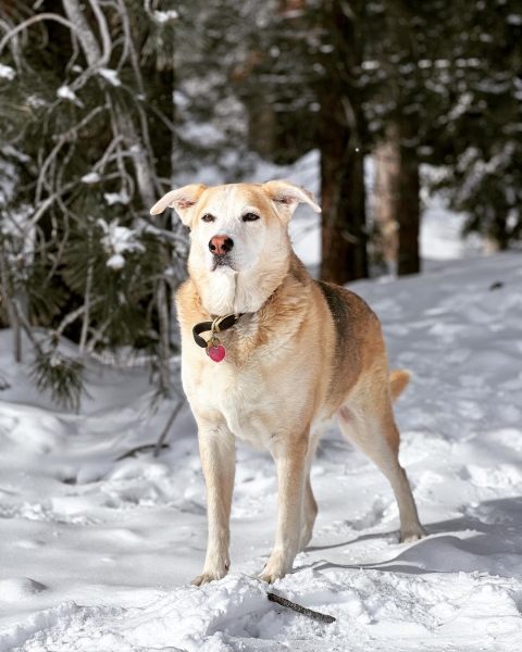 InstagramTroian-004367.jpg