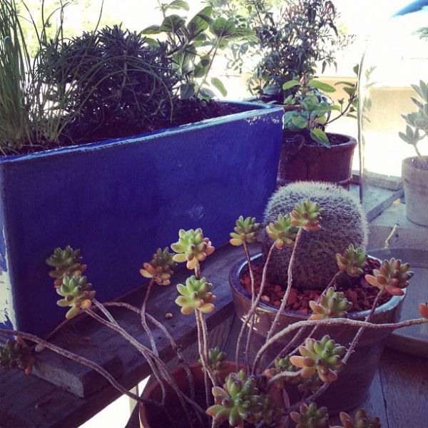 InstagramTroian-0061.jpg