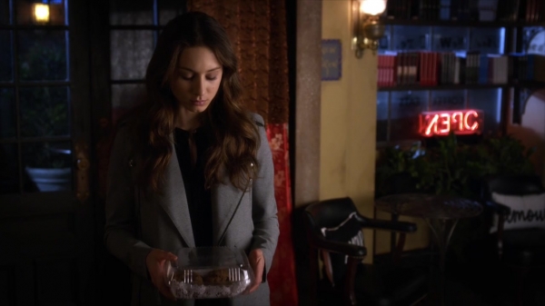 Pretty_Little_Liars_S06E04_720p_HDTV_X264-DIMENSION_2356.jpg