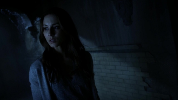 Pretty_Little_Liars_S06E05_720p_HDTV_X264-DIMENSION_0078.jpg