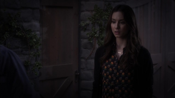 Pretty_Little_Liars_S06E06_720p_HDTV_X264-DIMENSION_1699.jpg