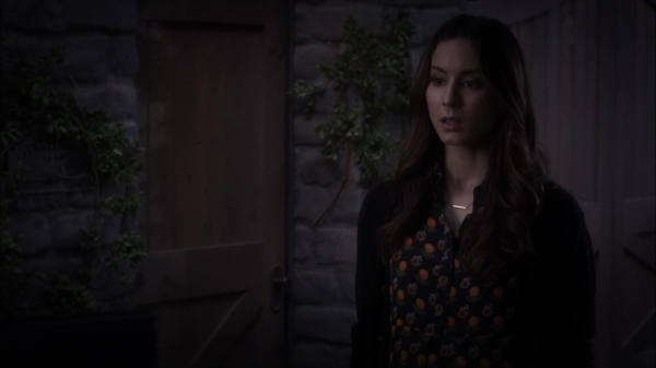 Pretty_Little_Liars_S06E06_720p_HDTV_X264-DIMENSION_1700.jpg