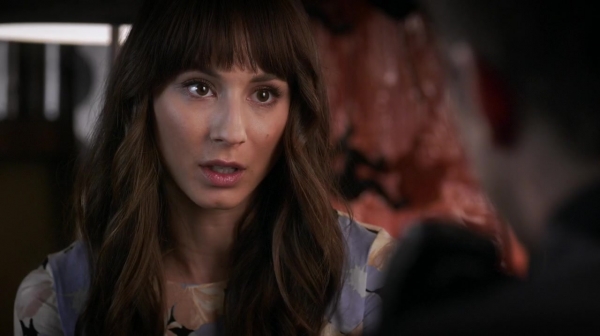 Pretty_Little_Liars_S06E18_Burn_This_720p_WEB-DL_DD5_1_H_264-NTb_2037.jpg