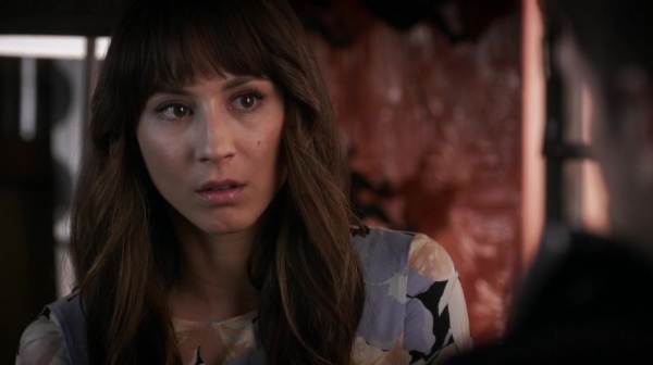 Pretty_Little_Liars_S06E18_Burn_This_720p_WEB-DL_DD5_1_H_264-NTb_2083.jpg
