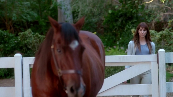Pretty_Little_Liars_S07E20E21_WEB-DL_720p_DUAL_WWW_COMANDOTORRENTS_COM_3986.jpg