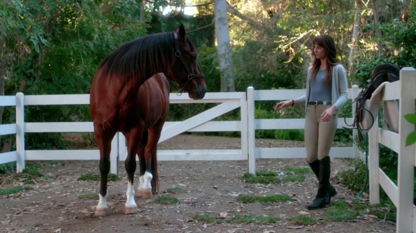 Pretty_Little_Liars_S07E20E21_WEB-DL_720p_DUAL_WWW_COMANDOTORRENTS_COM_4014.jpg