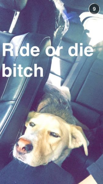 snapchatroian-0015.jpg