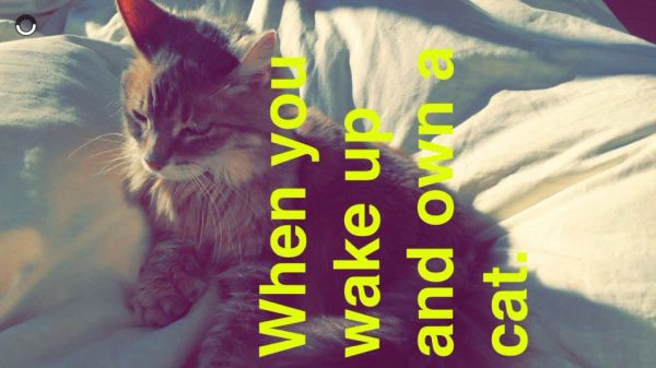 snapchatroian-0130.jpg