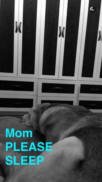 snapchatroian-0257.jpg